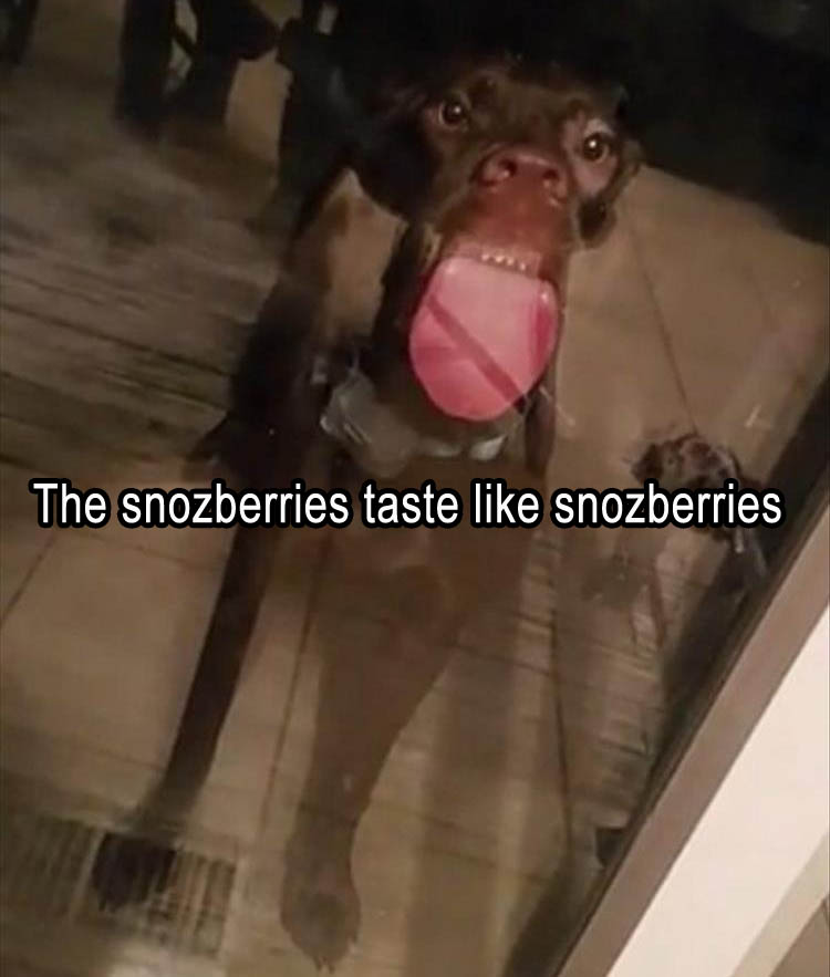 a-the-snosberries-taste-like-snosberries