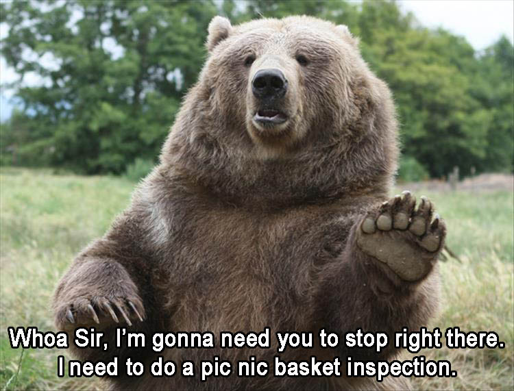 d-sir-im-gonna-need-you-to-stop-right-there-for-our-manditory-pic-nic-basket-inspection