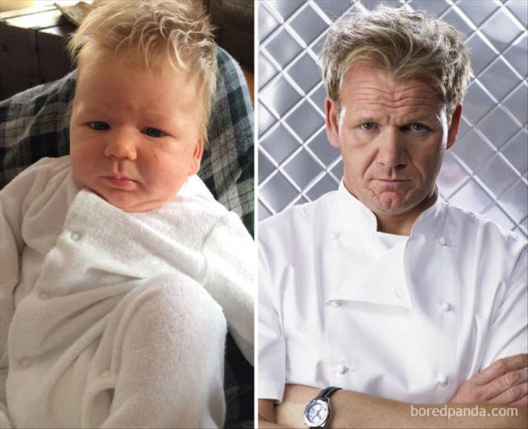 funny-baby-look-a-likes-1