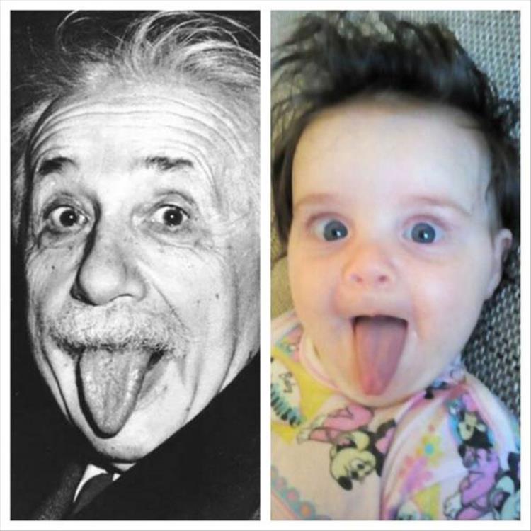 funny-baby-look-a-likes-21