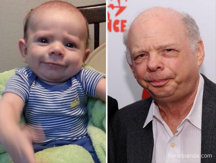 funny-baby-look-a-likes-3