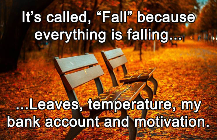 funny-fall
