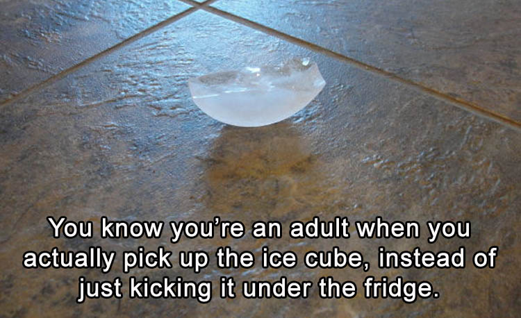 ice-cube-funny