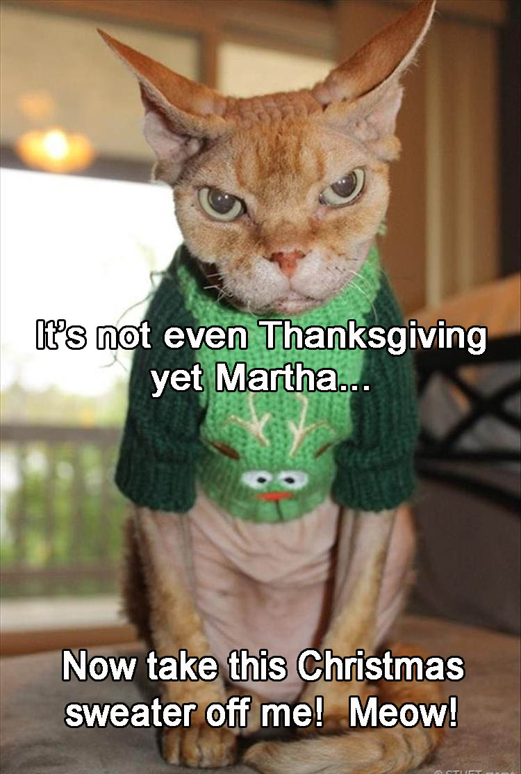 its-not-even-thanksgiving-yet-martha-take-this-christmas-sweater-off-me