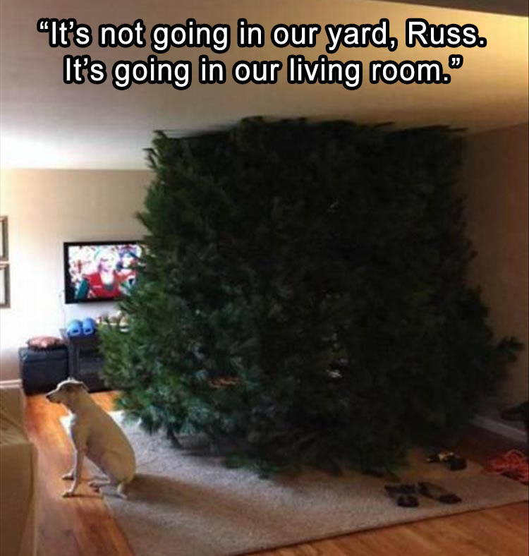 its-not-going-in-our-yard-russ-its-going-in-our-living-room