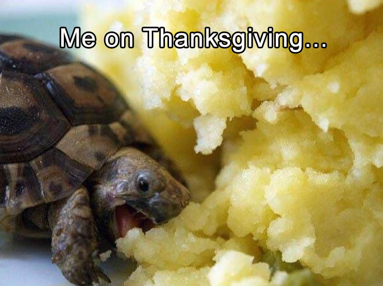 me-on-thanksgiving