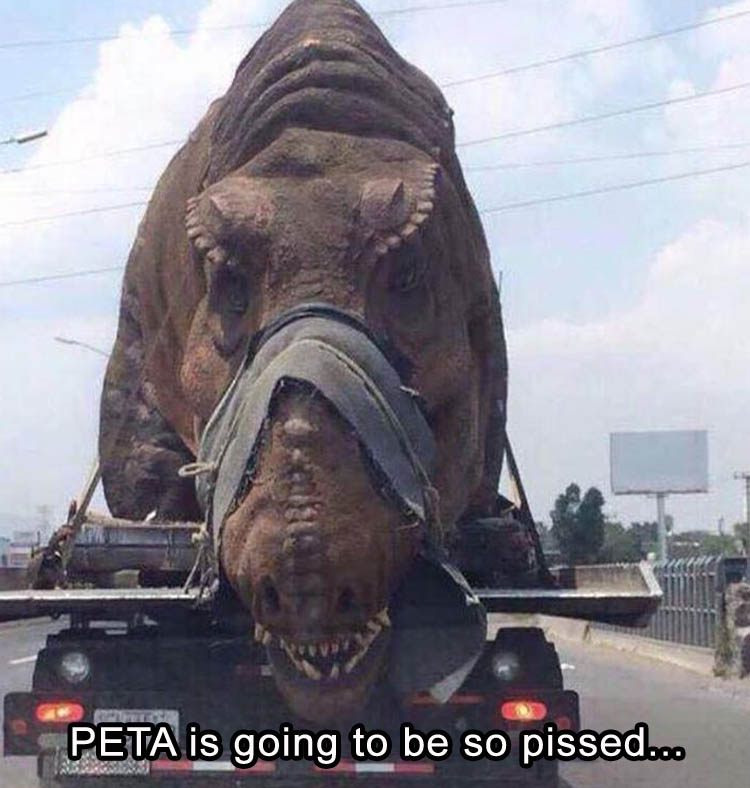 peta-funny-pictures