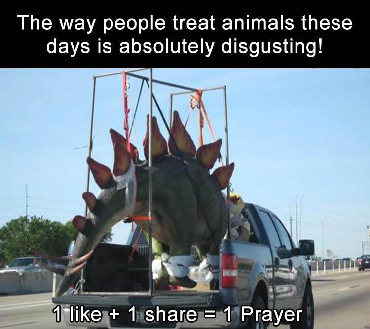the-way-people-treat-animals-these-days
