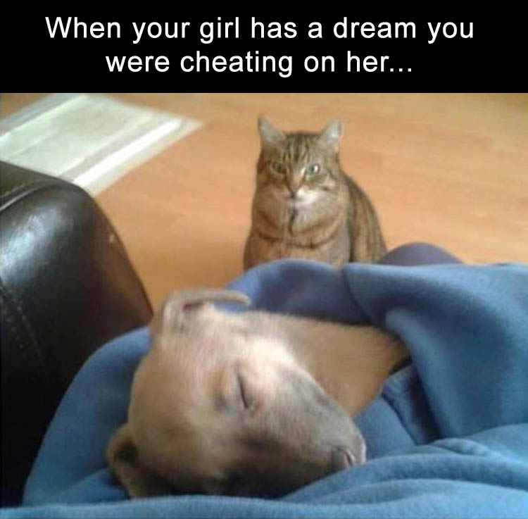 when-your-girl-has-a-dream