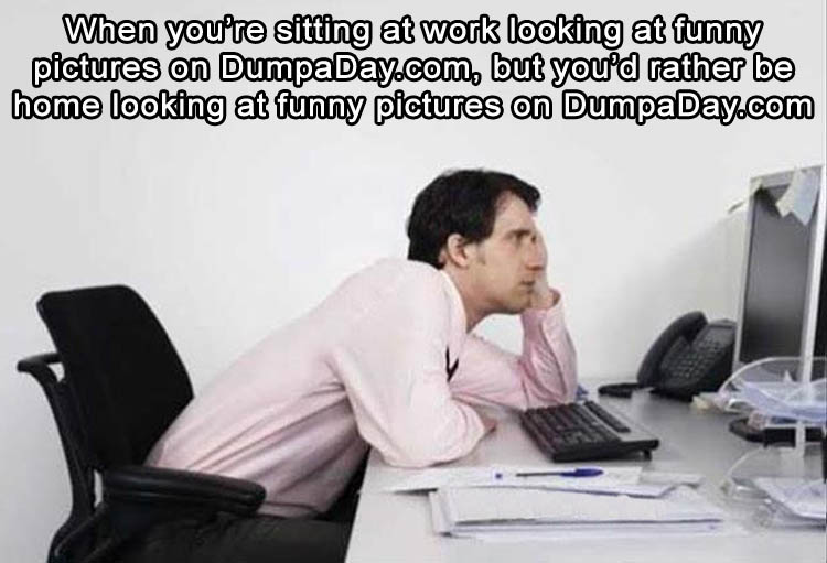 when-youre-sitting-at-work-looking-at-funny-pictures-on-dumpaday-and-youre-wanting-to-go-home-and-look-at-funny-pictures-on-dumpaday