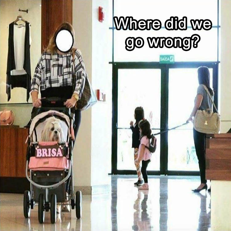 where-did-we-go-wrong