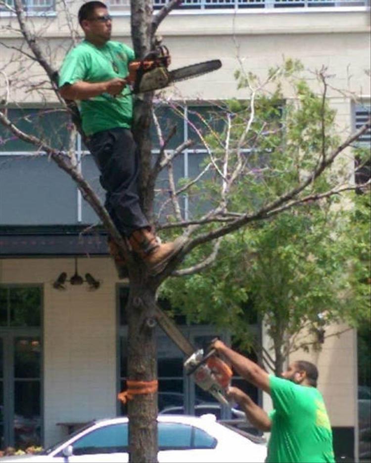 Why Women Live Longer Than Men 35