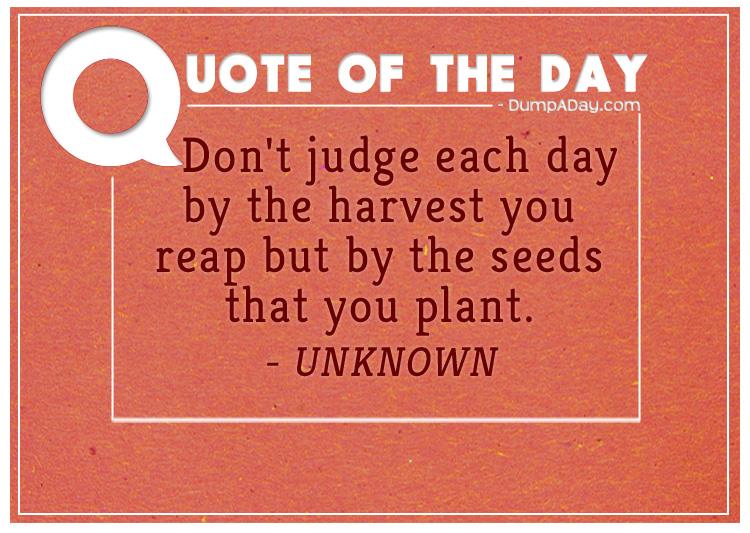 dont-judge-each-day-by-the-harvest-you-reap-but-by-the-seeds-that-you-plant