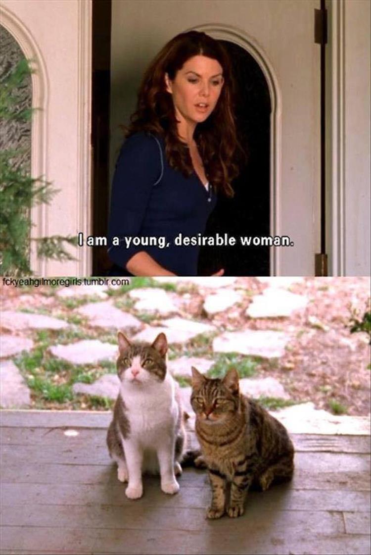 gilmore-girls-funny