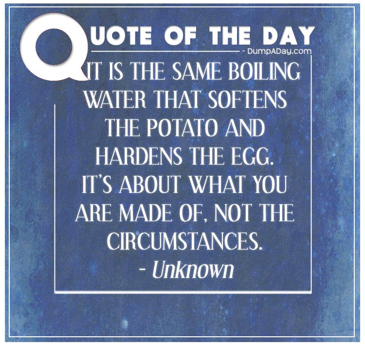 it-is-the-same-boiling-water-that-softens-the-potato-and-hardens-the-egg