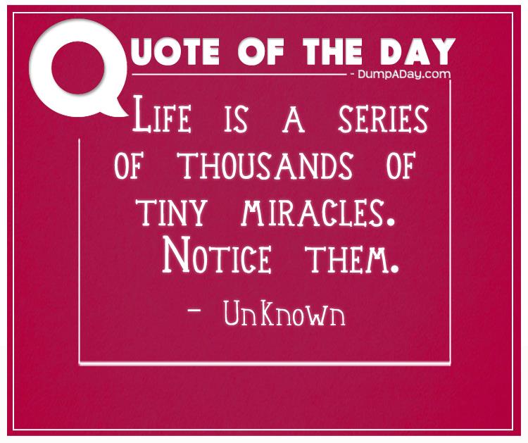 life-is-a-series-of-thousands-of-tiny-miracles