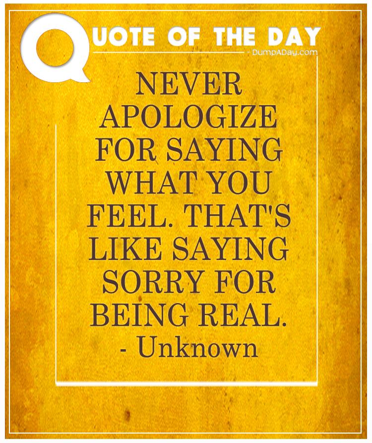 never-apologize-for-saying-what-you-feel