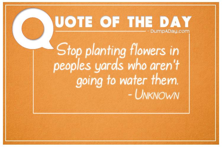 stop-planting-flowers-in-peoples-yards-who-arent-going-to-water-them