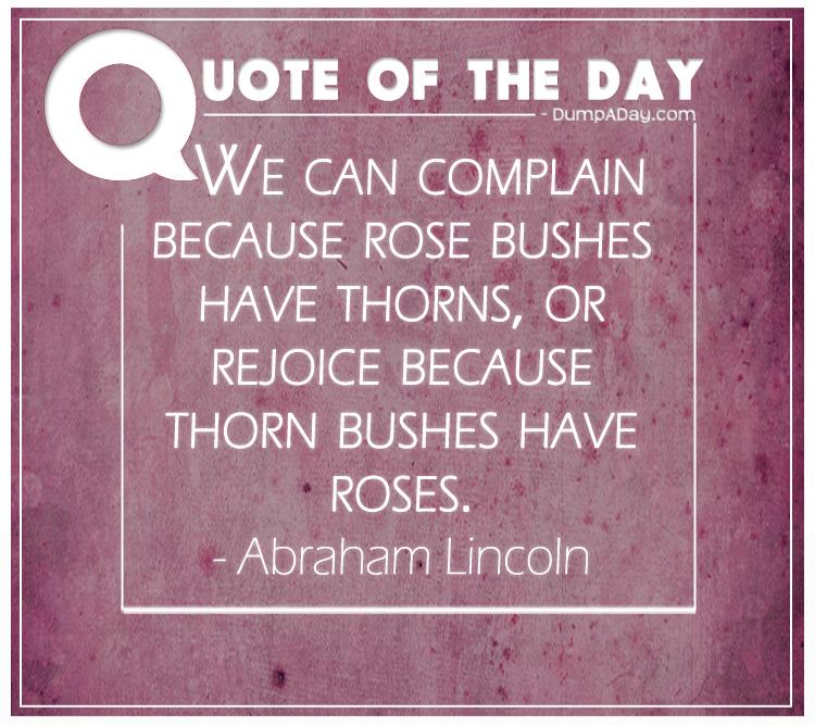 we-can-complain-because-rose-bushes-have-thorns-or-rejoice-because-thorn-bushes-have-roses