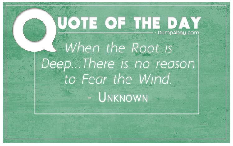 when-the-root-is-deep