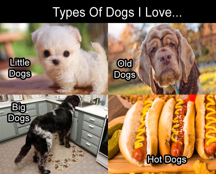 a-types-of-dogs-i-like