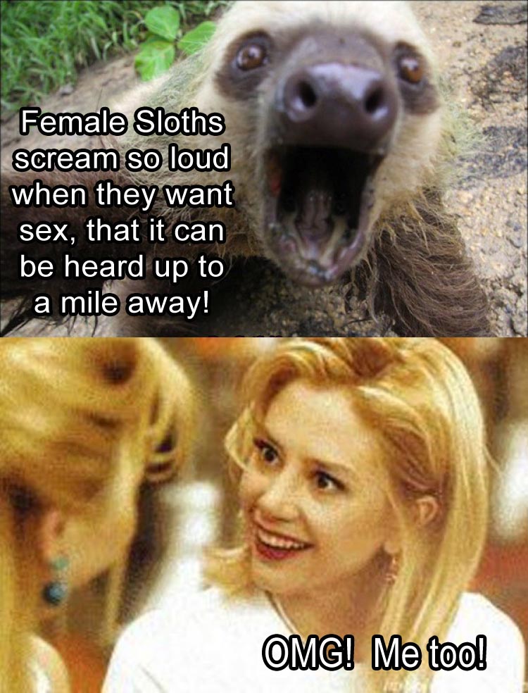 female-sloths-screaming