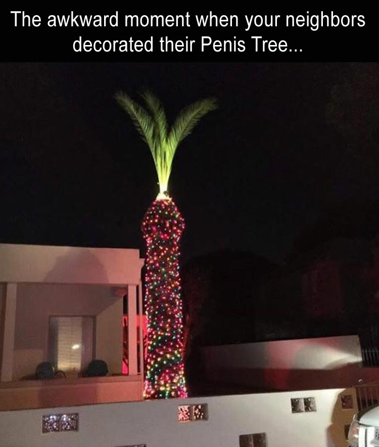 funny-christmas-decorations