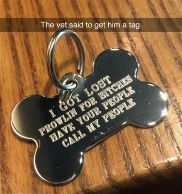 funny-dog-tags