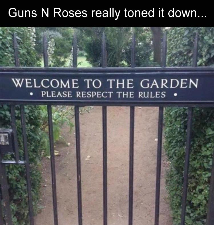 funny-guns-n-roses