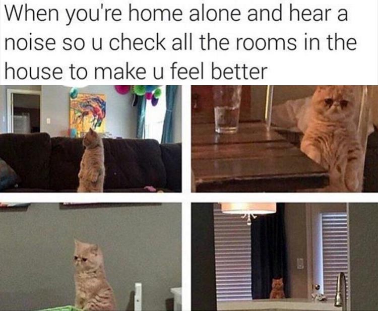home-alone