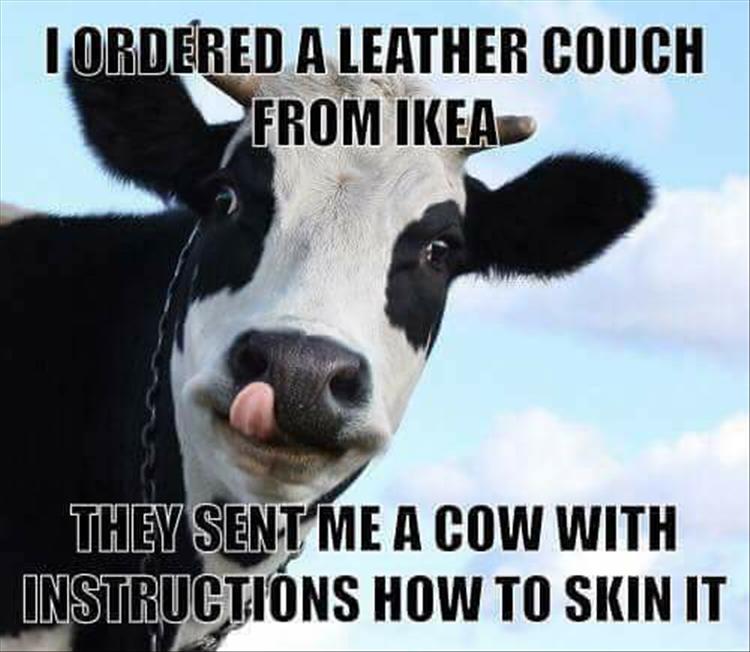 leather-couch-from-ikea