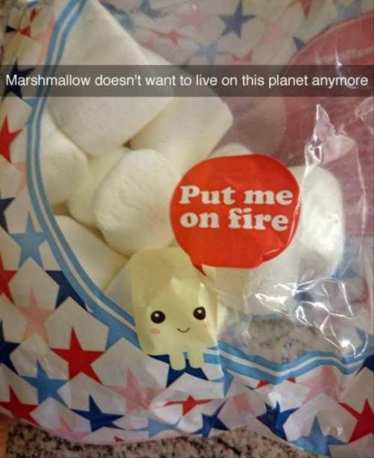 marshmellow