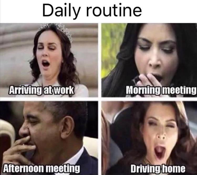 my-daily-routine