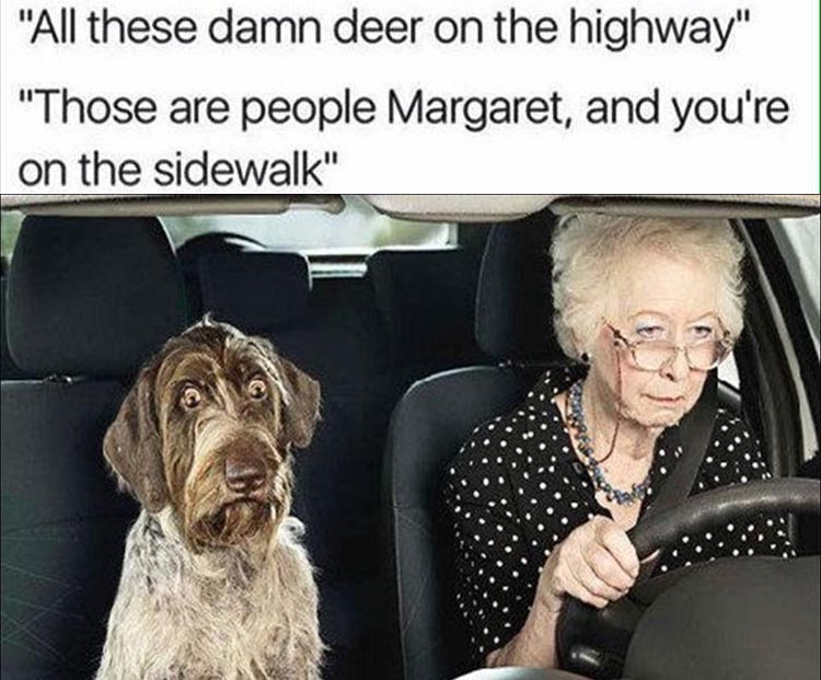 old-lady-driving
