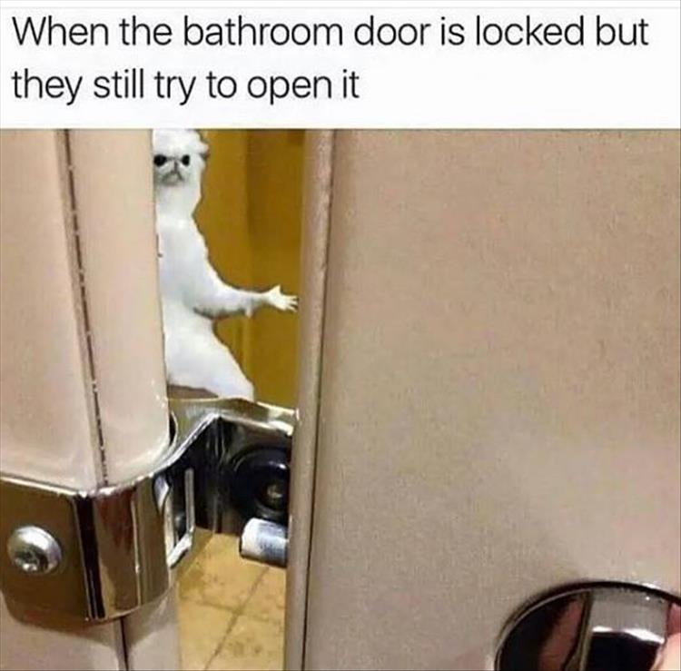 opening-the-bathroom-door