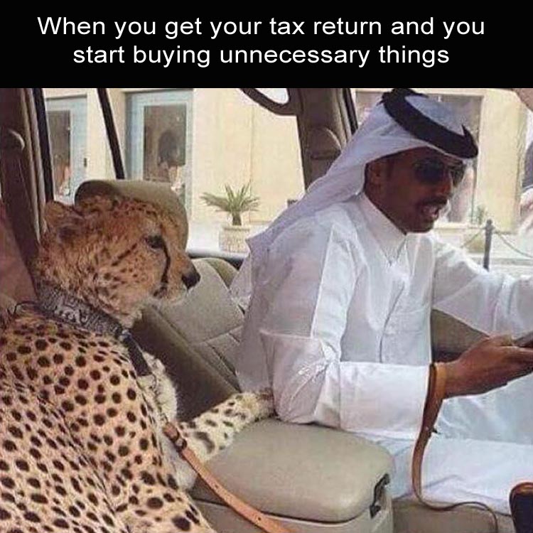 tax-return