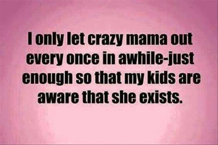 the-moms-are-crazy