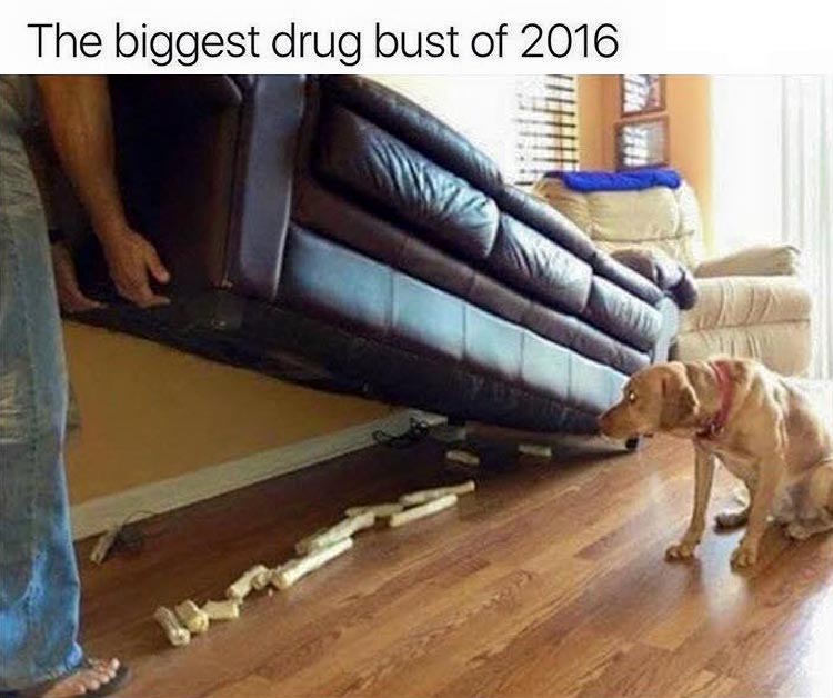 the-biggest-drug-bust-ever