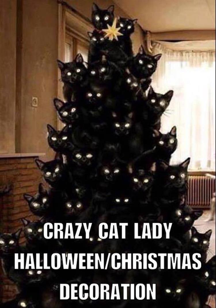 the-crazy-cat-lady-christmas