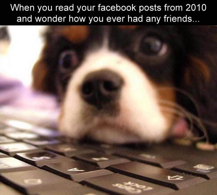 the-facebook-posts