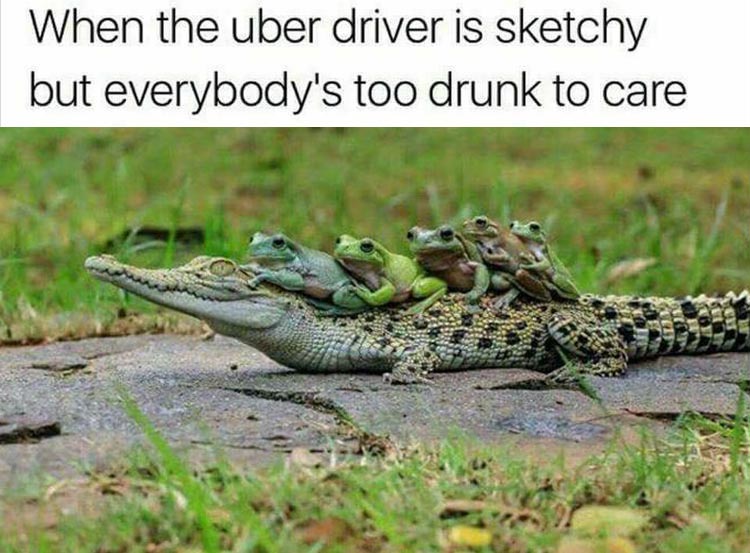 the-uber-driver