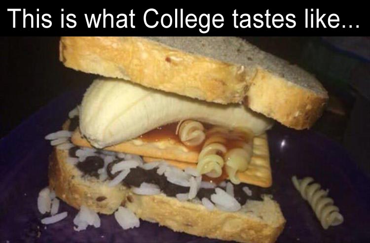 this-is-what-college-tastes-like