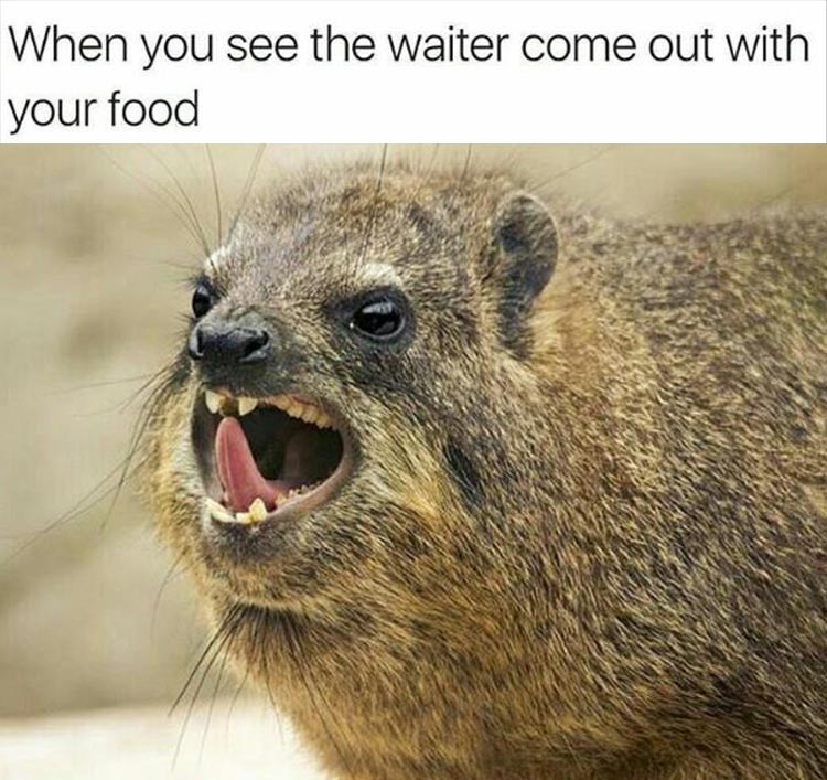 when-you-see-the-waiter