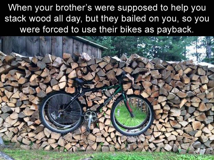 when-your-brothers-were-supposed-to-help-you-stack-wood-all-day-but-they-bailed-on-your-so-you-hid-their-bikes