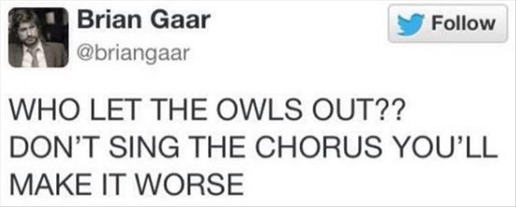 who-let-the-owls-out