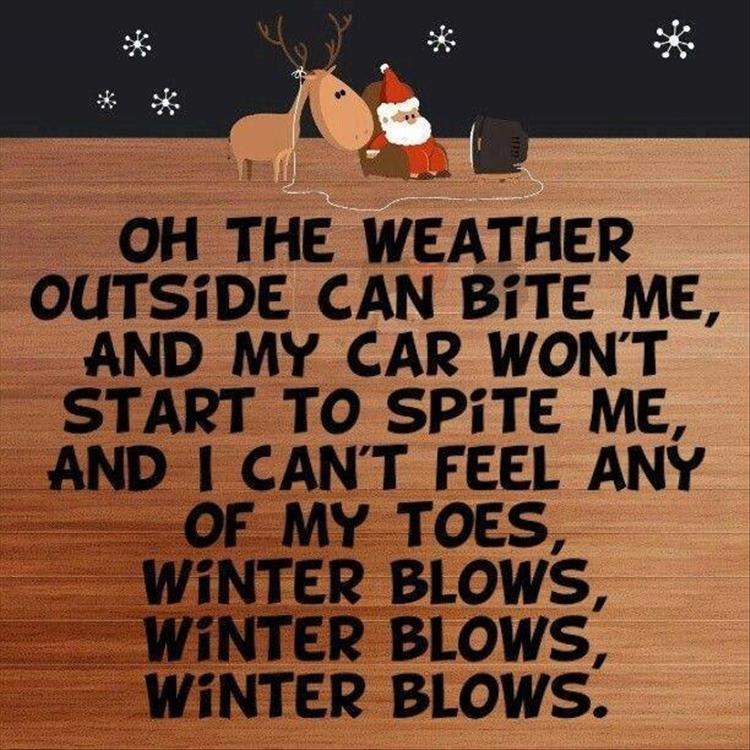 winter-blows