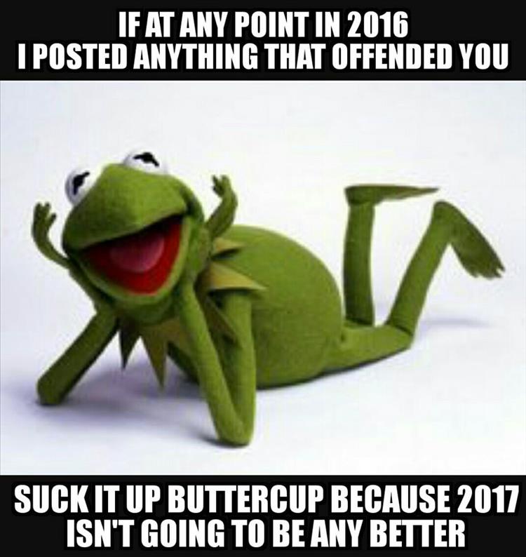 z-suck-it-up-buttercup