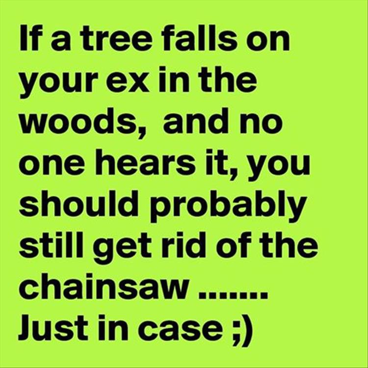 z-tree-falls-on-your-ex