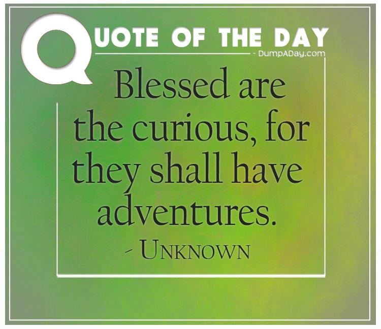 Blessed are the curious, for they shall have adventures