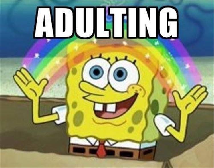 adults (23)